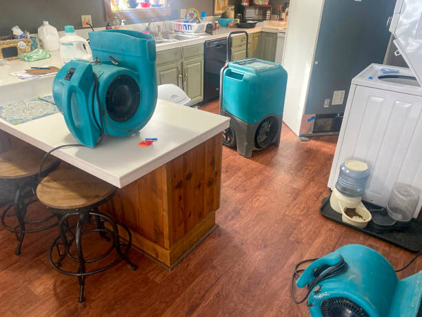 Best Carpet water damage restoration  in Elmwood, IL