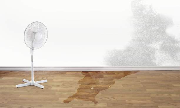 Best Sewage cleanup and water damage restoration  in Elmwood, IL