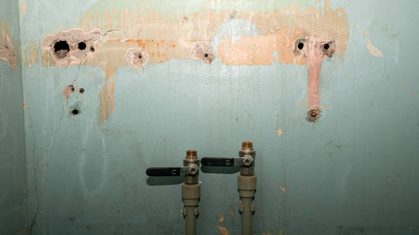 Best Commercial water damage restoration  in Elmwood, IL