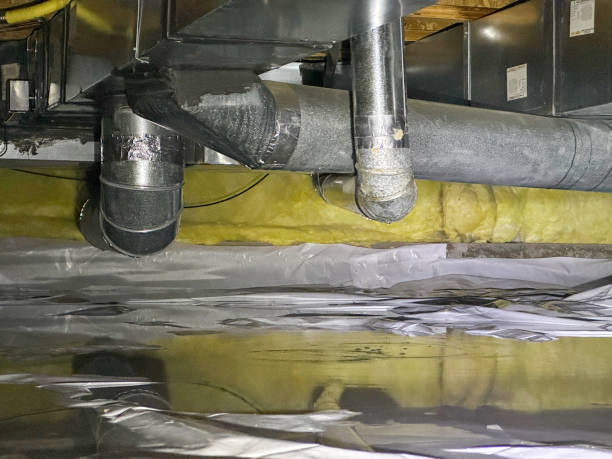 Best Professional water damage repair  in Elmwood, IL