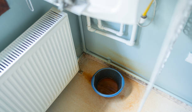 Best Fire Damage Restoration  in Elmwood, IL