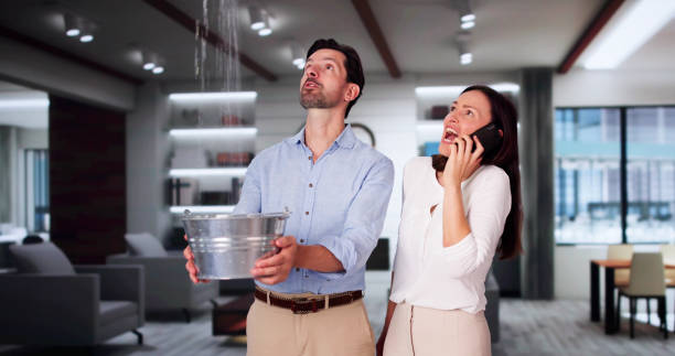 Best Water damage restoration near me  in Elmwood, IL