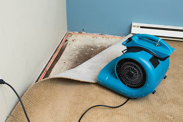  Elmwood, IL Water damage restoration Pros